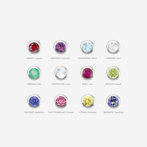 Illustrations of 12 birthstones 9ct white gold charms with their corresponding months on an off white background